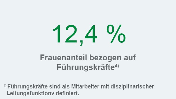 Schaeffler Nachhaltigkeitsbericht 2017, Handlungsfeld Mitarbeiter und Gesellschaft, Kennzahl: Frauenanteil Führungskräfte