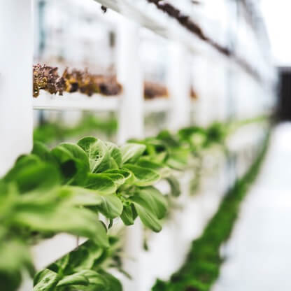 Modern plant factory Modern plant factory