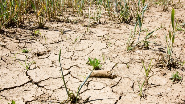 Megatrend: climate change