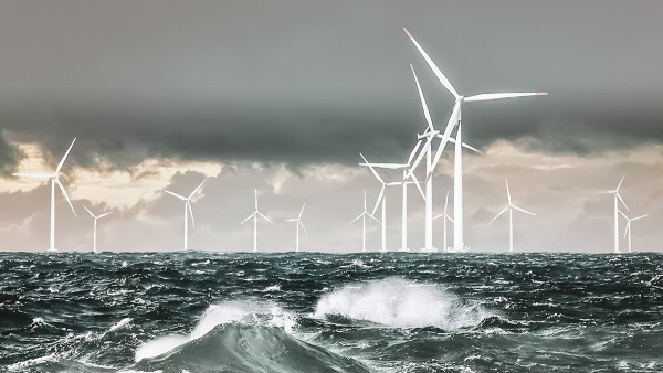 Fokusfeld: Erneuerbare Energien