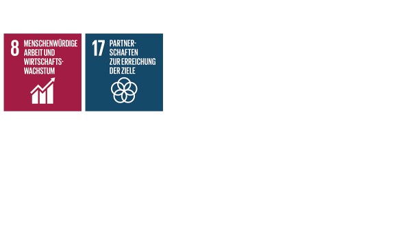Mit seinen Aktivitäten und Maßnahmen im Handlungsfeld Strategie und Management trägt Schaeffler zu den Sustainable Development Goals (SDGs) „Nachhaltiges Wirtschaftswachstum und menschenwürdige Arbeit für alle“ (SDG 8) sowie „Umsetzungsmittel und globale Partnerschaft stärken“ (SDG 17) bei.