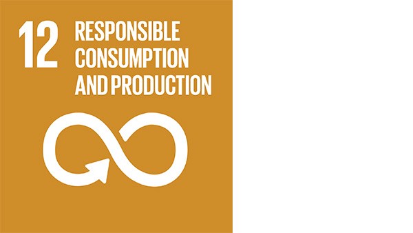Goal 12: Responsible Consumption and Production
