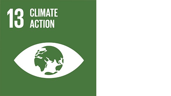 Goal 13: Climate Action