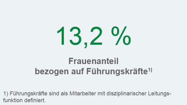 Schaeffler Nachhaltigkeitsbericht 2017, Handlungsfeld Mitarbeiter und Gesellschaft, Kennzahl: Frauenanteil Führungskräfte