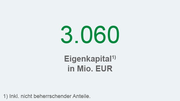 Schaeffler Nachhaltigkeitsbericht 2018, Handlungsfeld Nachhaltiges Wirtschaften, Kennzahl: Eigenkapital