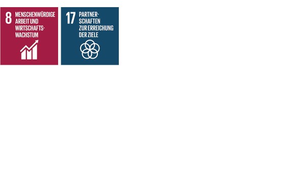 Mit seinen Aktivitäten und Maßnahmen im Handlungsfeld Nachhaltiges Wirtschaften trägt Schaeffler zu den SDGs „Nachhaltiges Wirtschaftswachstum und menschenwürdige Arbeit für alle“ (SDG 8) sowie „Umsetzungsmittel und globale Partnerschaft stärken“ (SDG 17) bei.