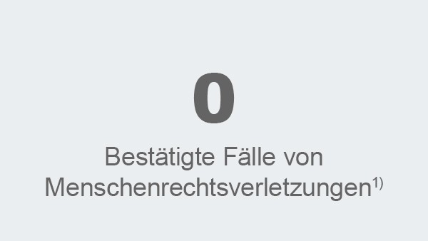 Bestätigte Fälle von Menschenrechtsverletzungen