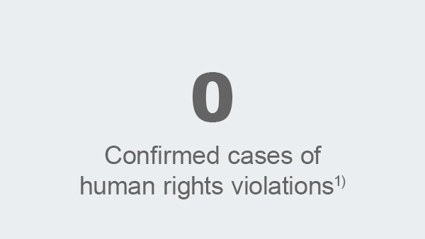 Confirmed cases of human rights violations