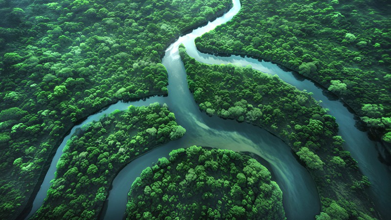 Sustainability at Schaeffler