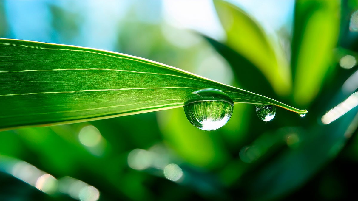Climate & Environmental protection at Schaeffler