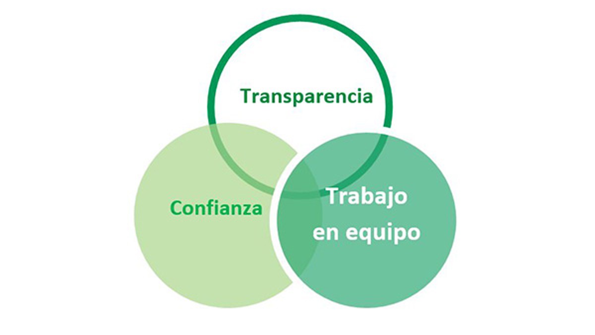 Estos dos últimos, junto con un elemento más, conforman lo que llamamos nuestros 3T (se deriva del inglés - Transparency, Trust and Teamwork)