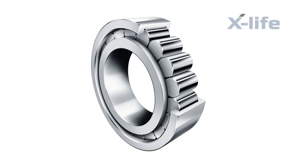 Rolamentos e casquilhos de fricção Schaeffler: Rolamentos de rolos cilíndricos sem gaiola