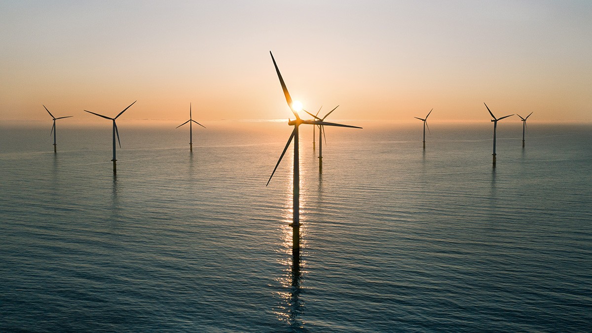 Schaeffler baut seine Position als Systempartner der Windkraftindustrie weiter aus