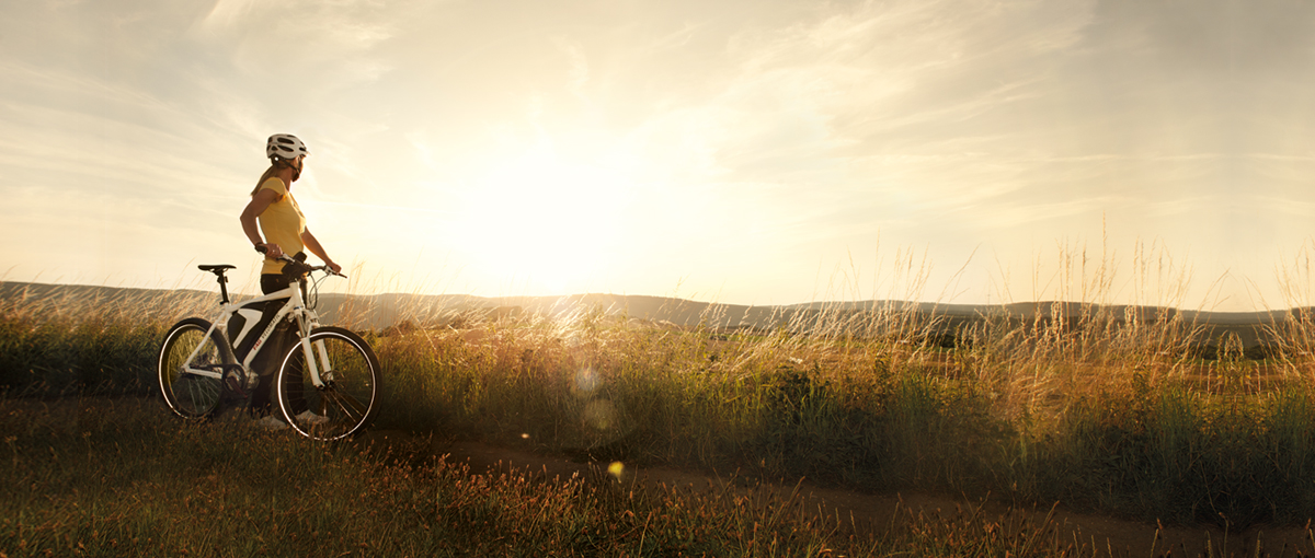 schaeffler four wheeled electric bike